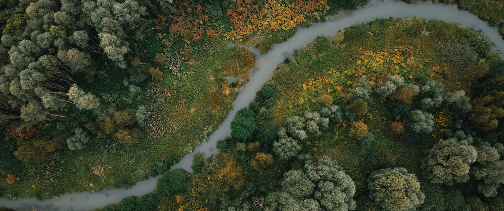 A river in the forest