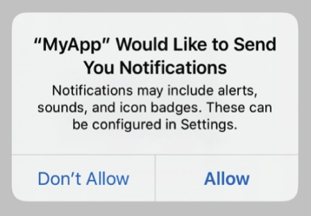 Standard iOS permission dialog